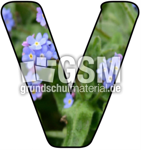 Blumenbuchstabe-V.jpg